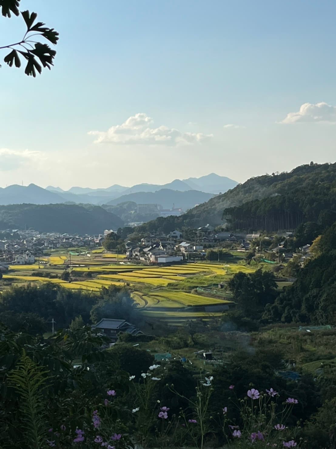 Sasabase — 里山・古民家の風景